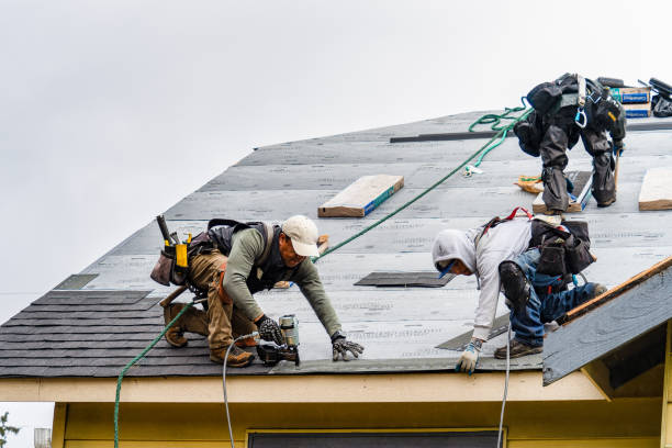 Professional Roofing technician working in Central City, IA